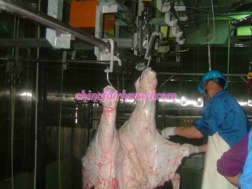 Cattle Slaughte production line