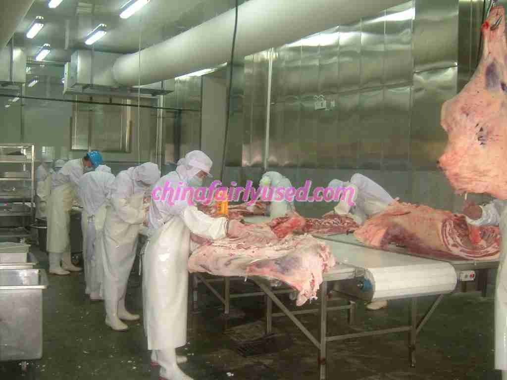 Cattle Slaughte production line
