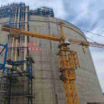 Used Zoomlion TC8039-25/2018 Tower cranes for sale