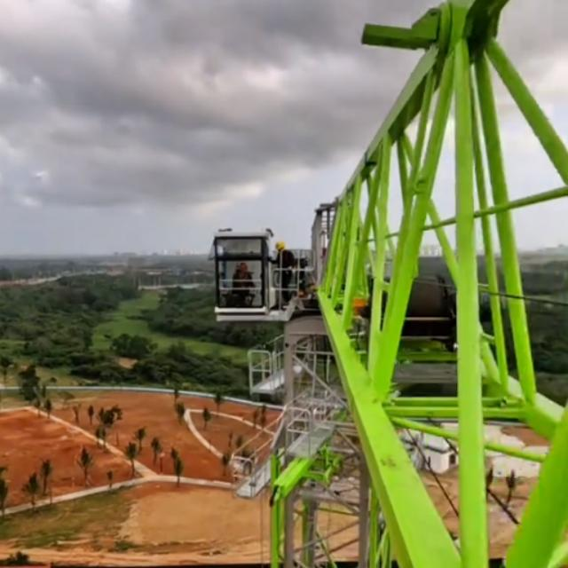 zoomlion Wa6515-8b Tower Crane for sale