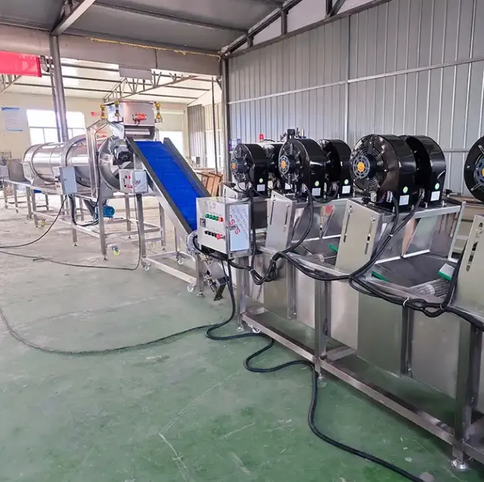 Used FNSPX100 Potato Chips Production Line for Sale