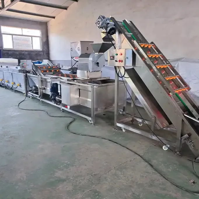 Used FNSPX100 Potato Chips Production Line for Sale