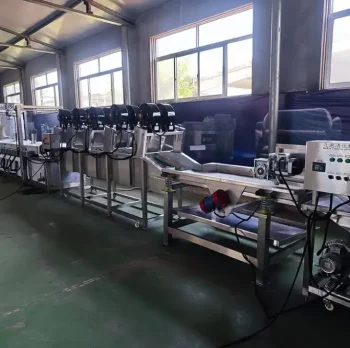 Used FNSPX100 Potato Chips Production Line for Sale