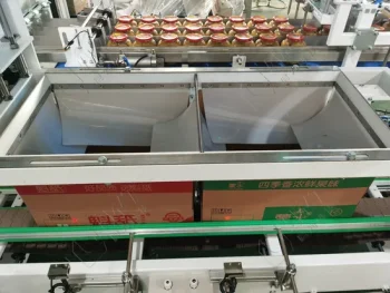 Automatic Used Case Packer for Sale 3