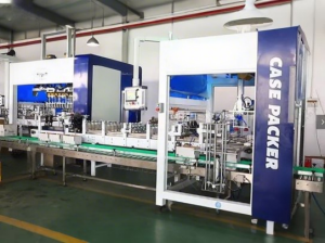 Automatic Used Case Packer for Sale2