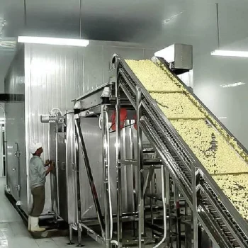 Used Tunnel IQF Freezer Machine for Sale 6