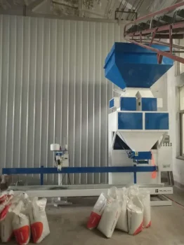 Used Coffee Bean Large Packing machne for Sale5