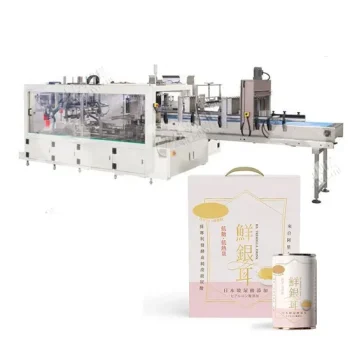 Used LW BW Case Packer Packaging Machine for Sale