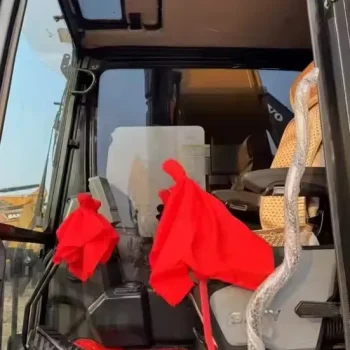 Used SANY SY215C Excavator for Sale 51