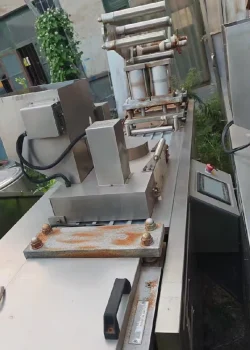 Used DPP250C Blister Packaging Machine for Sale1