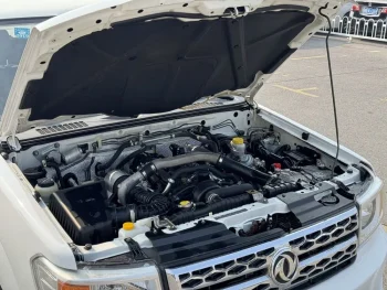Used Dongfeng Rich White 2017 Pickup Truck for Sale2