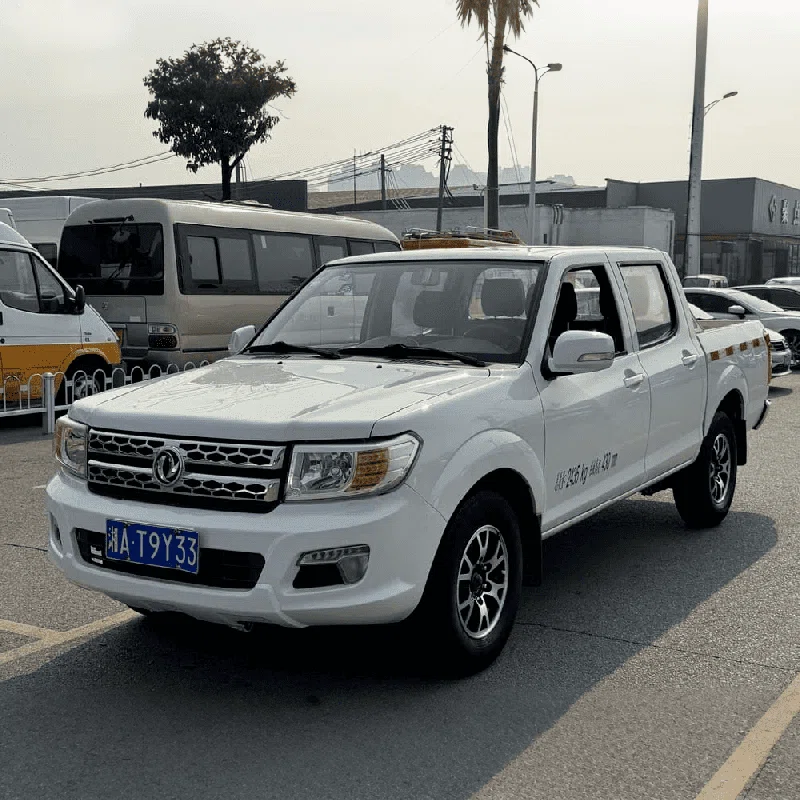 Used Dongfeng Rich White 2017 Pickup Truck for Sale99999