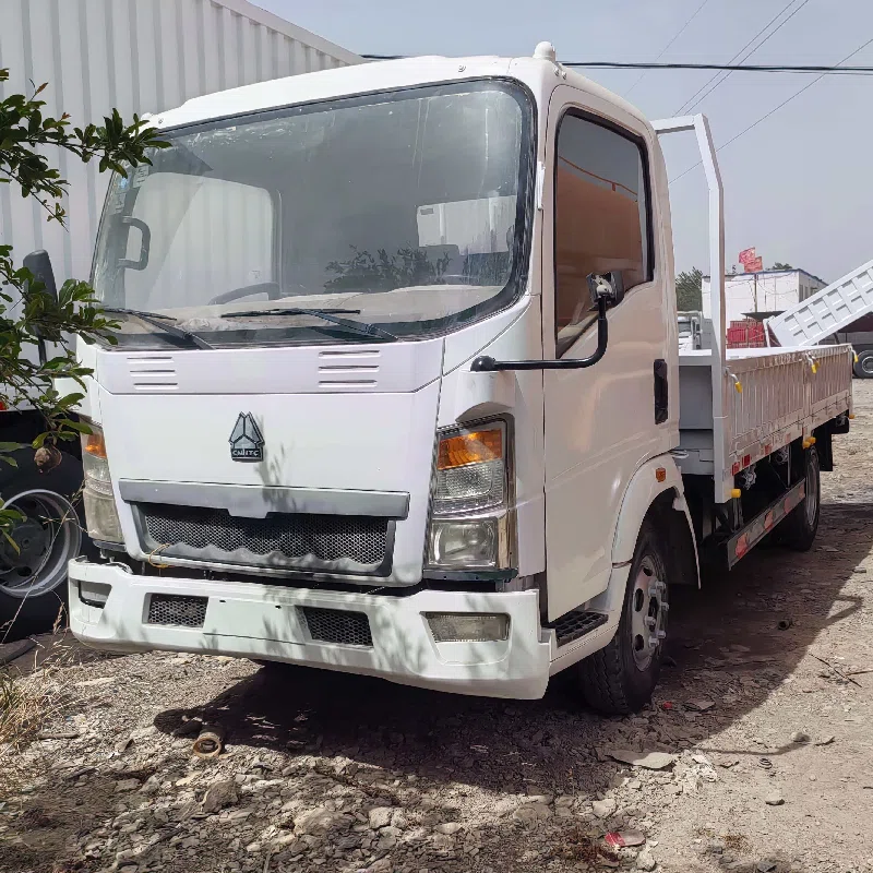 Used HOWO Light duty Truck for Sale999