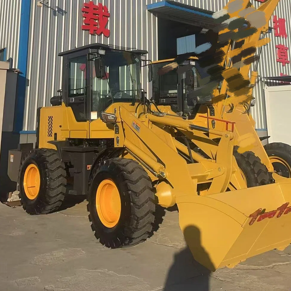 Used MYZG ZL946 Loader for Sale9999