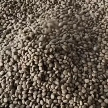 Used 65 Type Twin screw Extruder for Sale2